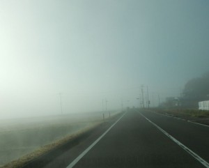 平地は霧に覆われていました