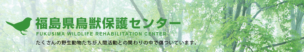 福島県鳥獣保護センター